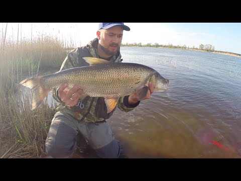 BoleńTV: Wiosenne Bolenie na wolno