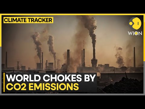 World Chokes on Record CO2: Half Traced to Fossil Fuels ...