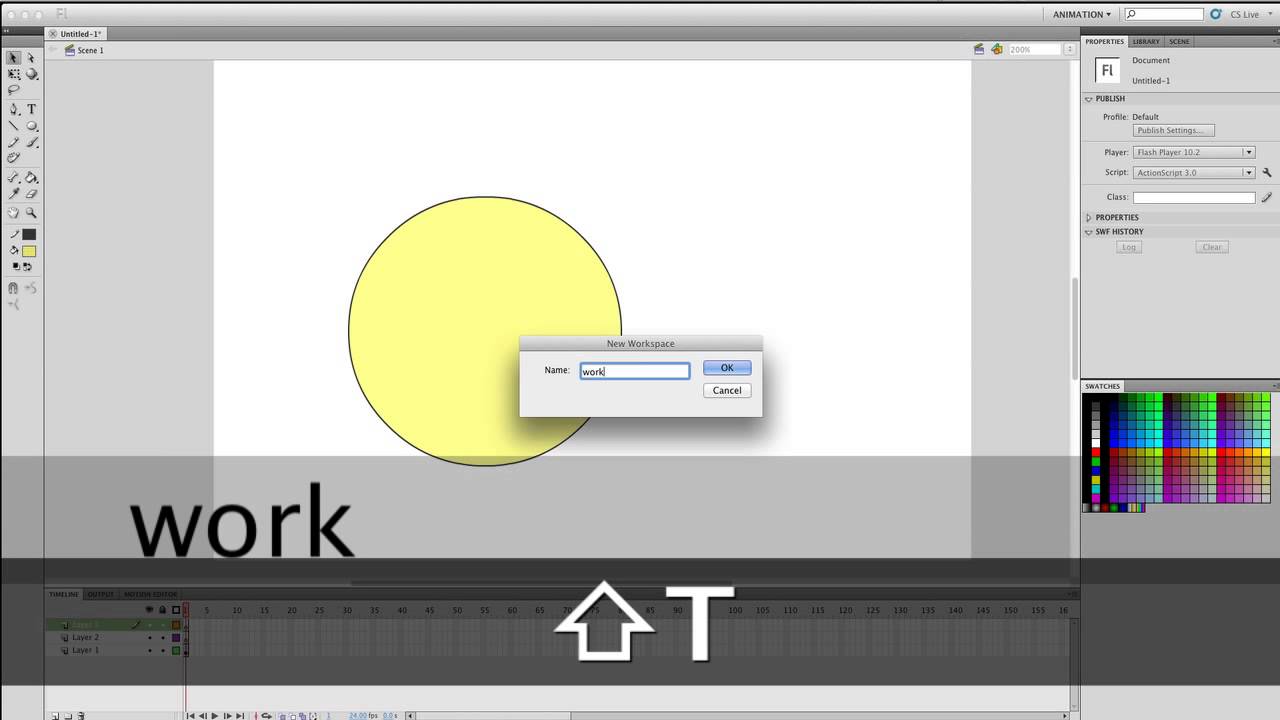 Flash Tutorial | How to customize or personalize your flash workspace