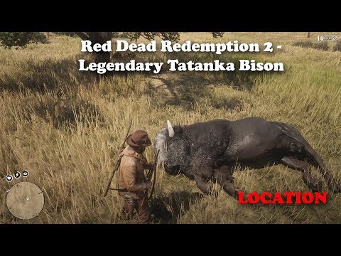 Red Dead Redemption 2 - Legendary Tatanka Bison Location