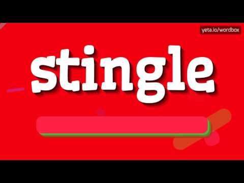STINGLE - HOW TO PRONOUNCE IT!?