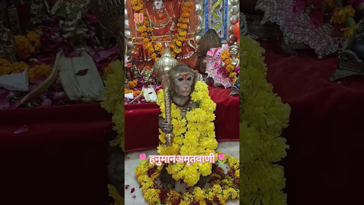 🚩चमत्कारी हनुमान अमृतवाणी🙏🚩#jaishreeram #hanumanji #bajrangbali #shortsfeed #viralshorts #bhakti