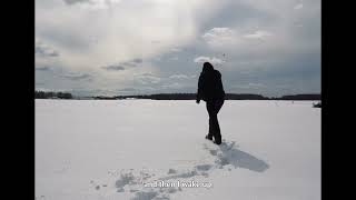 мнеснитсявсякаячушь(трейлер eng)