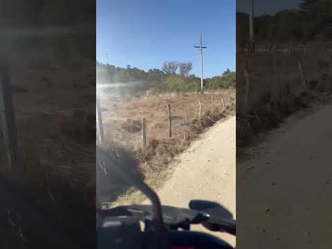 Pical Malacatancito Huehuetenango belleza . Lugares de lujo 2026