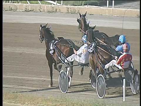 Trotto 28/05/2017 - 6 ª corsa