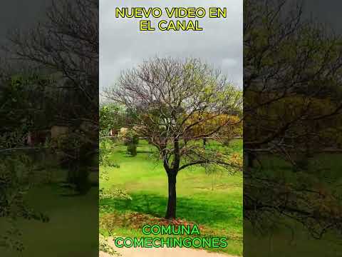 ¿Conocías este pueblo oculto en Córdoba? 🇦🇷🤔