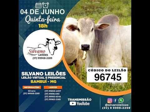LEILÃO  SILVANO LEILOES - BAMBUI - 04/06/2026