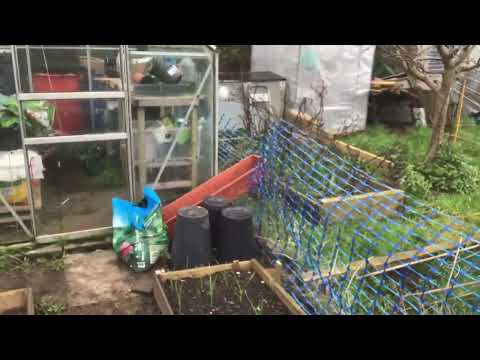 Friday 29 Dec hashtag