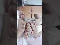 Belly Button Play Play With Belly Navel Play