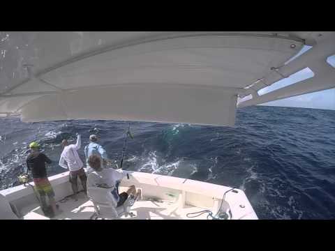 De Reel Viking   BGFA Tournament 2015