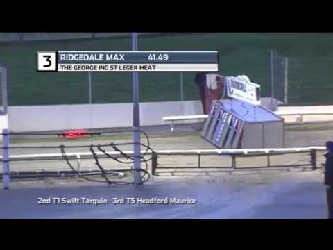 2019 GEORGE ING ST LEGER - HEAT 3 - T3 RIDGEDALE MAX