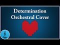 Determination - Undertale Orchestral Cover