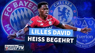 Lilles David will zu Top-Klub: Bayern, Chelsea & Co. interessiert | TRANSFERMARKT