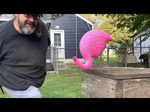 Prime Cutz 2020-2021