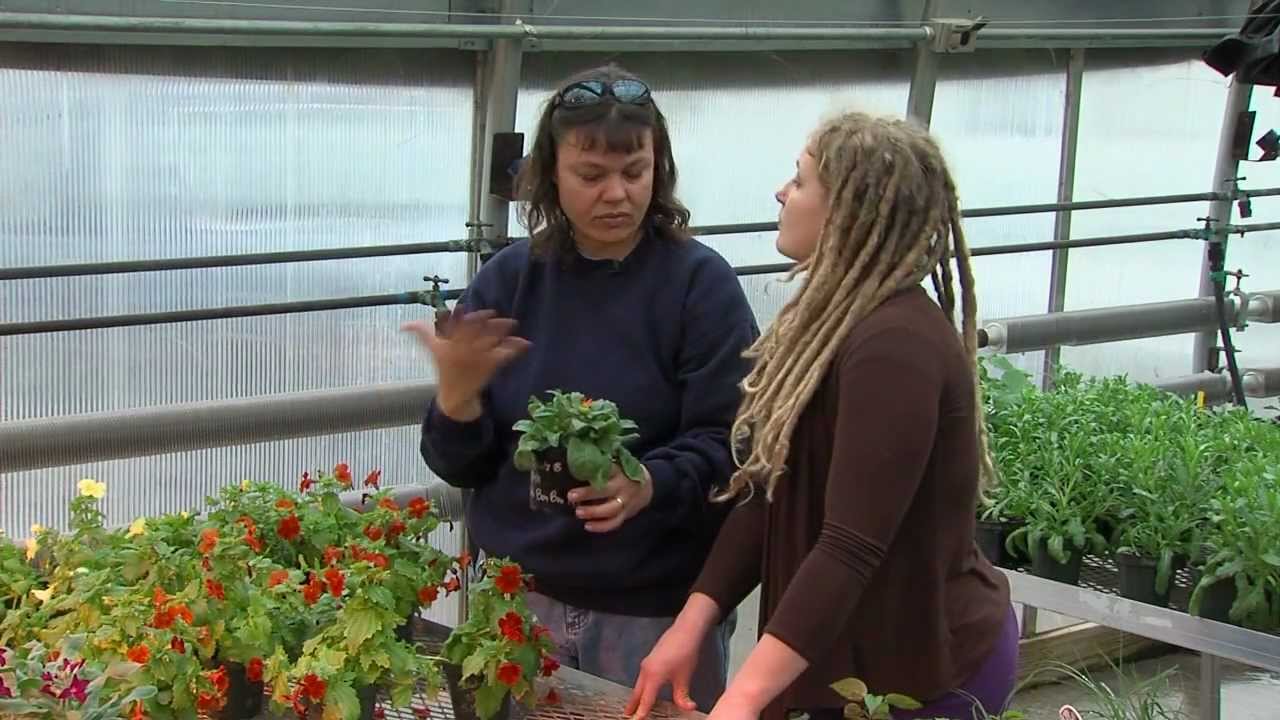 Division of Plant Sciences at MU