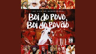 Download lagu Pout-Pourri: Perrechéologia (Instrumental)/Ao Pé da Roseira/Garantido Sou Eu/Anunciei Boi na... mp3