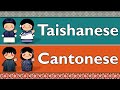 HOISANESE TAISHANESE CANTONESE HONGKONG VARIETY