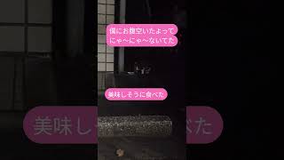 2026年10月15日