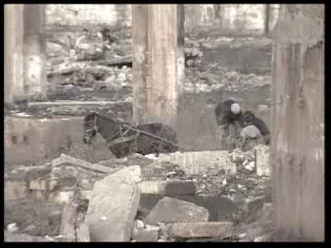 Calan #GandesteVerde @TVRTimisoara