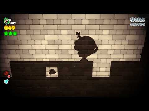 Super Mario 3d World (Switch) 2-3 Itemless Speedrun Time 22