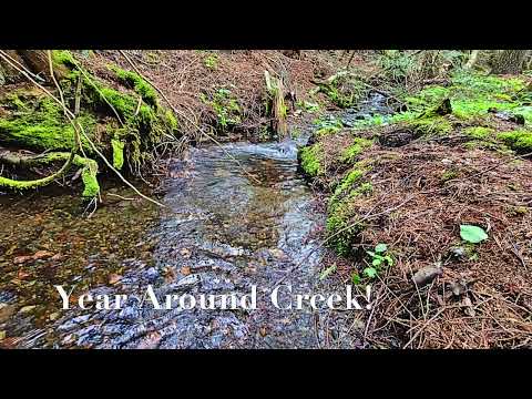 3310 Fifteen Mile Creek Rd, B, Kettle Falls, WA 99141 3310 Fifteen Mile Creek Rd, B, Kettle Falls, WA 99141
