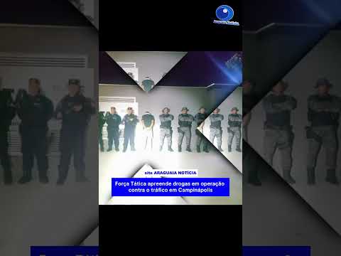 Força Tática apreende drogas em operação contra o tráfico em Campinápolis