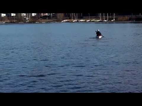 All ice out - a Relaxed Morning Paddle at Lake Vanaja