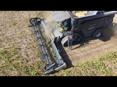 DOMINONI TOP DRAP 940 IDEAL 8T SOIA 2022 - 1