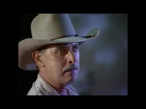 🇻🇪 pura sangre 🇻🇪