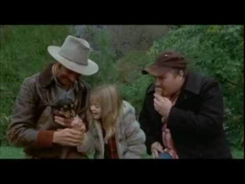 Savannah Smiles ~ Savannah gets a puppy