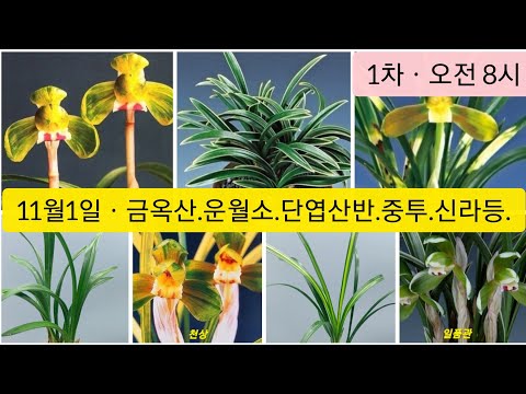 유튜브 썸네일