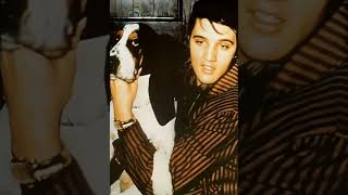 Never Ending Elegance #Elvis