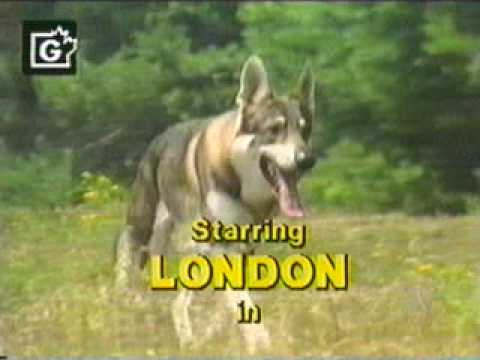 El Pequeño vagabundo (The Littlest Hobo). Introduccion y despedida (intro and outro).