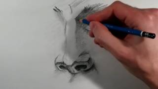 How to draw a nose