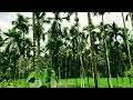 Suhana Safar Aur Yeh Mausam Hasi Hindi Status Romantic Nature Hindi Lovely Song WhatsApp Status