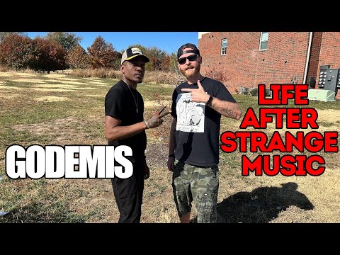 Godemis Life After Strange Music