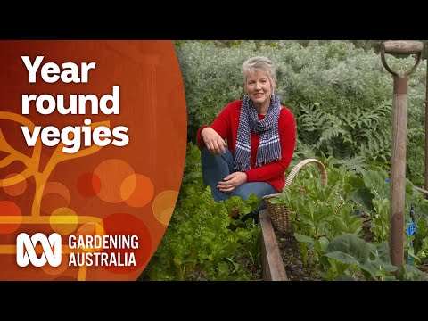 , title : 'Tanaman sayuran yang bisa ditanam & dipanen sepanjang tahun | Berkebun 101 | Berkebun Australia'