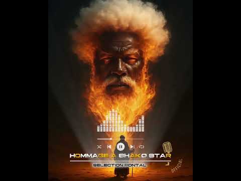 HOMMAGE A SHAKO STARS (Audio Officiel) Selection Pontal Dj's 