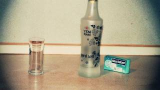 Gülden Hanedar "Şişede Balık"