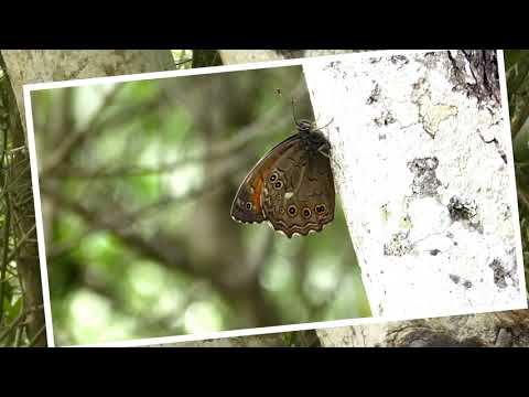 wildlife photo walk in Ligia