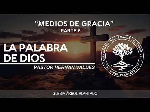 388 - Medios de gracia - La Palabra de Dios - Parte 5