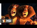 Madagascar Escape 2 Africa 2008 The Lion Dance Scene 9 10 Movieclips