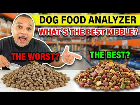 Dog Food Analyzer!! | What’s The BEST KIBBLE?