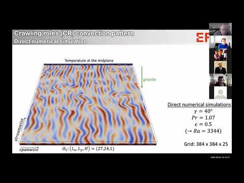 LMS and LadHyX Joint Seminar - June 6, 2020 - Prof. Tobias Schneider (EPFL, Switzerland)