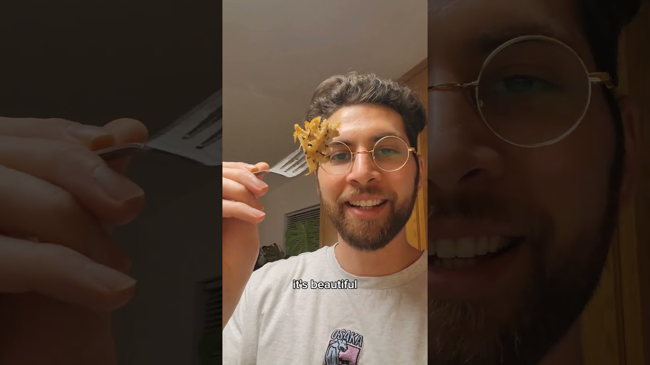 Hericium coraloides #fungi #sfbay #foraging #oakland #eastbayeats