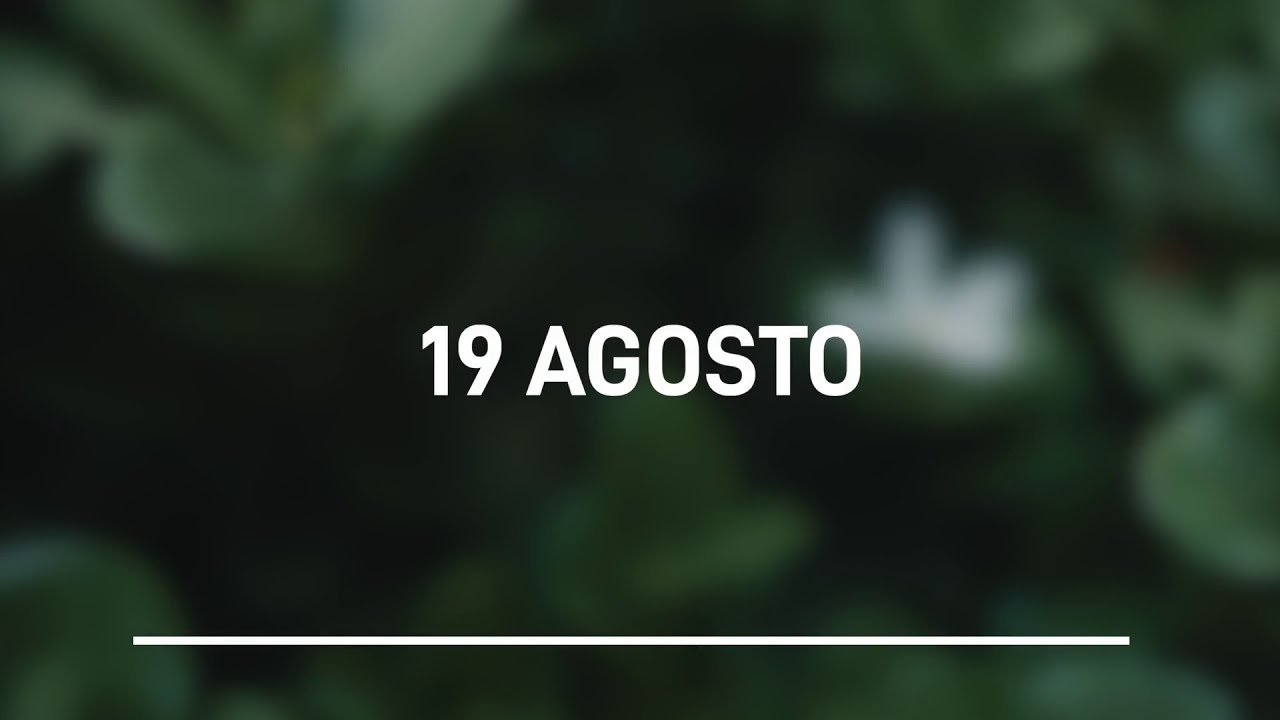 Meditazione Calendario “Parole di Vita” del 19 Agosto 2023