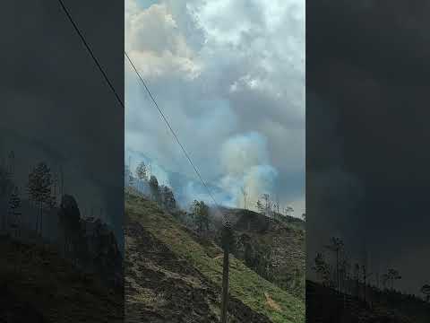 🚨 Incendio forestal entre Urrao y Betulia alarma al suroeste de Antioquia