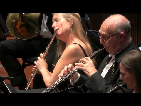 BEETHOVEN Violin Concerto | Fedor Rudin, BSO & Kirill Karabits