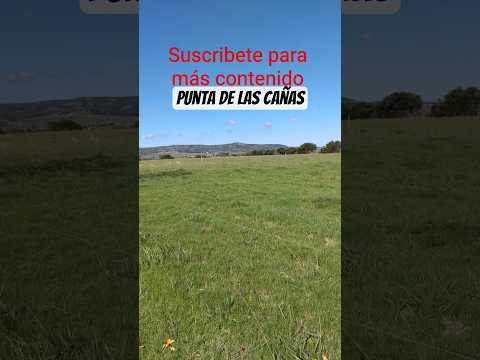 En Punta de Las Cañas. San Carlos Maldonado Uruguay