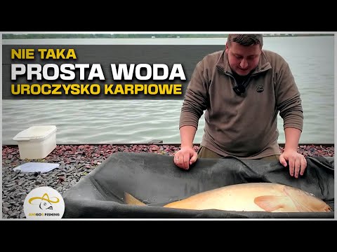 Challenging conditions at the carp hotspot! Beskidy team competition!